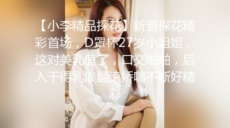 【小李精品探花】新晋探花精彩首场，D罩杯27岁小姐姐，这对美乳值了，口交啪啪，后入干得乳浪翻滚娇喘不断好精彩