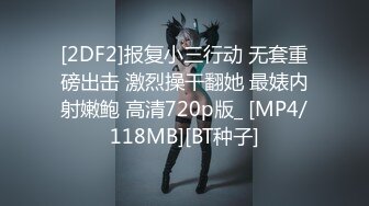 [2DF2]【仙人斩探花】兄弟两人配合偷拍，酒店约炮小少妇，白嫩美乳温柔如水，女人味十足干起来最爽(_evMerge [MP4/107MB][BT种子]