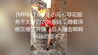 极品骚女友 Kimimonica 口活全集