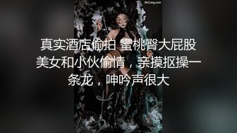 Sou认识的小母狗