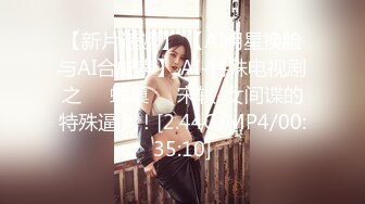 【AI换脸视频】郑家纯 鸡排妹赴日当风俗娘，花样服务爽翻男客户