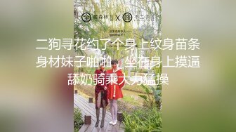 二狗寻花约了个身上纹身苗条身材妹子啪啪，坐在身上摸逼舔奶骑乘大力猛操