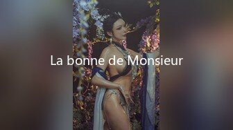 La bonne de Monsieur