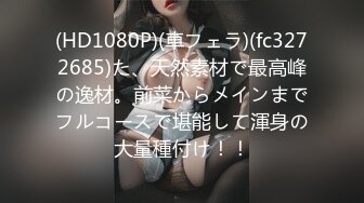 (Uncen-leaked) HODV-20405 拘束されて犯して欲しい！ 栗栖エリカ