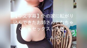 【中文字幕】仆の家に転がり込んできたお姉さんとむちゃくちゃセックスした话。