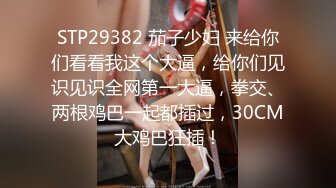 【MMZ033】画家的女学徒