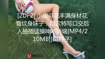 [2DF2] 小宝寻花丰满身材花臂纹身妹子，掰穴特写口交后入抽插猛操呻吟娇喘[MP4/210MB][BT种子]