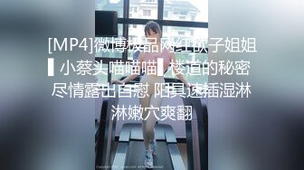 【中文字幕】SNIS-279 在電車上被癡漢侵犯上癮的巨乳女大學生 夢乃あいか(夢乃愛華)