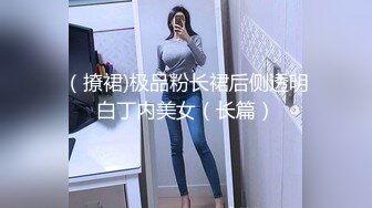 （撩裙)极品粉长裙后侧透明白丁内美女（长篇）