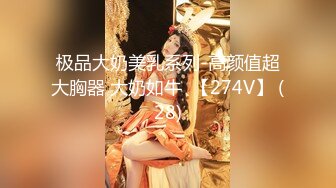 极品大奶美乳系列-高颜值超大胸器 大奶如牛  【274V】 (28)