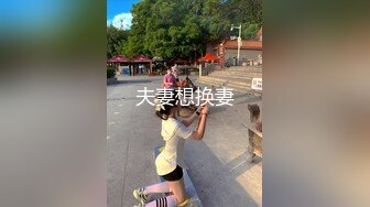 极品美女老婆3p