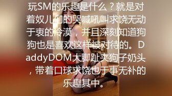 玩SM的乐趣是什么？就是对着奴儿们的哭喊吼叫求饶无动于衷的冷漠，并且深刻知道狗狗也是喜欢这样被对待的。DaddyDOM大脚趾夹狗子奶头，带着口球求饶也于事无补的乐趣其中。