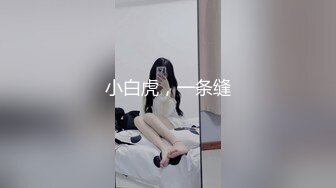 小竹竹