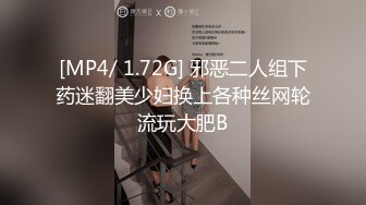 [MP4/ 1.72G] 邪恶二人组下药迷翻美少妇换上各种丝网轮流玩大肥B