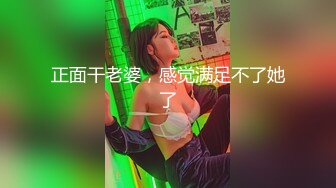 良家女教师2