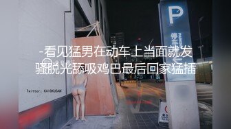 -看见猛男在动车上当面就发骚脱光舔吸鸡巴最后回家猛插