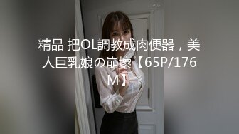 精品 把OL調教成肉便器，美人巨乳娘の崩壞【65P/176M】