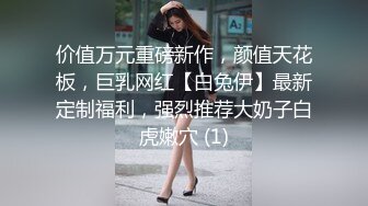 乖巧女仆