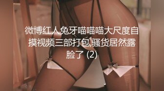 【新片速遞】&nbsp;&nbsp;【巨乳女神❤️超美萝莉】巨乳萝莉网红『晴儿』最新大尺度私拍 换装COS制服和金主啪啪 高清私拍1977P 高清720P原版[707M/MP4/03:53]