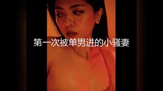 麻豆传媒 MCY-0027 空姐女友被强暴 苏清歌