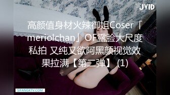 高颜值身材火辣御姐Coser「meriolchan」OF露脸大尺度私拍 又纯又欲阿黑颜视觉效果拉满【第二弹】 (1)