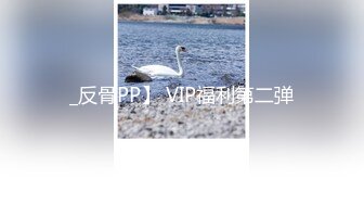 _反骨PP】 VIP福利第二弹