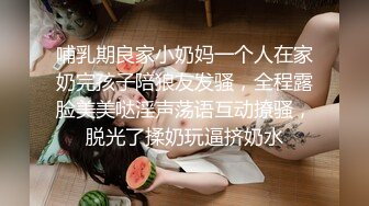 哺乳期良家小奶妈一个人在家奶完孩子陪狼友发骚，全程露脸美美哒淫声荡语互动撩骚，脱光了揉奶玩逼挤奶水