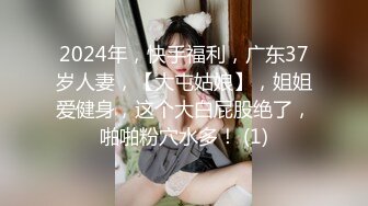 猎奇最美TS人妖系列28