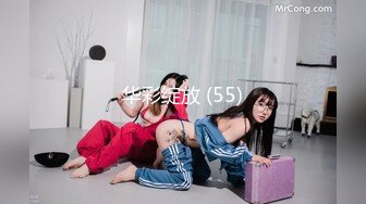 华彩绽放 (55)