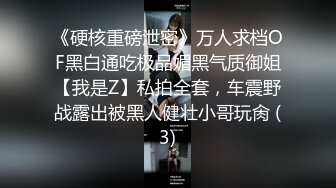 《硬核重磅泄密》万人求档OF黑白通吃极品媚黑气质御姐【我是Z】私拍全套，车震野战露出被黑人健壮小哥玩肏 (3)