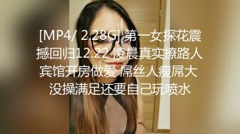 [MP4]国产AV剧情律政俏佳人性感律师上门诱惑当事人啪啪