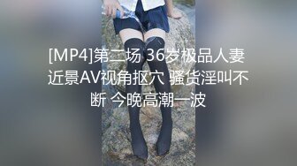 [MP4]第二场 36岁极品人妻 近景AV视角抠穴 骚货淫叫不断 今晚高潮一波