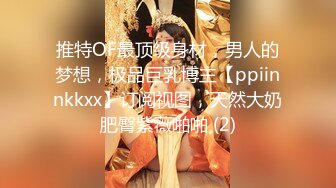 推特OF最顶级身材，男人的梦想，极品巨乳博主【ppiinnkkxx】订阅视图，天然大奶肥臀紫薇啪啪 (2)