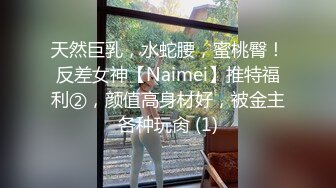 天然巨乳，水蛇腰，蜜桃臀！反差女神【Naimei】推特福利②，颜值高身材好，被金主各种玩肏 (1)