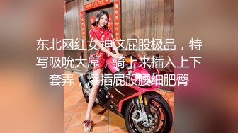 网红脸长腿大学生美少女被土豪包养，满足金主爸爸要求日常各种淫荡自拍，母狗属性拉满 (2)