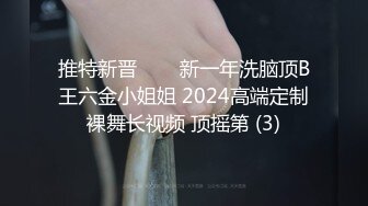 推特新晋❥❥❥新一年洗脑顶B王六金小姐姐 2024高端定制裸舞长视频 顶摇第 (3)