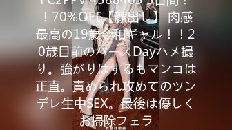 コスビッチ3SEX2 吹石れな