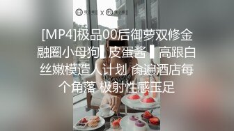 国产麻豆AV MKY MKYAP004 淫寓 艾秋 苏清歌