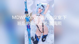 MDWP-0023-淫行会议室.下班后的搔痒难耐-夏禹熙