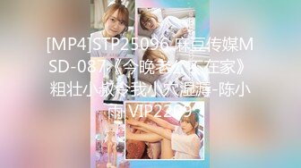 [MP4]STP25096 麻豆传媒MSD-087《今晚老公不在家》粗壮小叔令我小穴湿溽-陈小雨 VIP2209