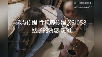 起点传媒 性视界传媒 XSJ058 嫂子的诱惑 斑斑