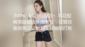 [MP4/ 442M] 赵总丶寻花短裤美腿颜值外围美女，花臂纹身舔屌交，抬起双腿抽插打桩