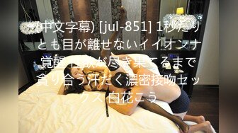 大神探店喇叭哥VIP资源福利【1 2】，妖艳美女应有尽有 (41)