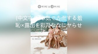 【新片速遞】&nbsp;&nbsp;餐厅女厕全景偷拍多位极品少妇半蹲着尿角度刚刚好各种美鲍就在眼前2[2530M/MP4/16:32]